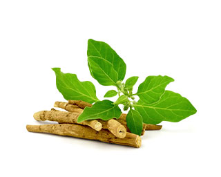 Achwagandha Extract